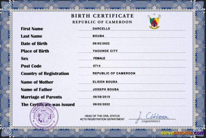 Cameroon vital record birth certificate